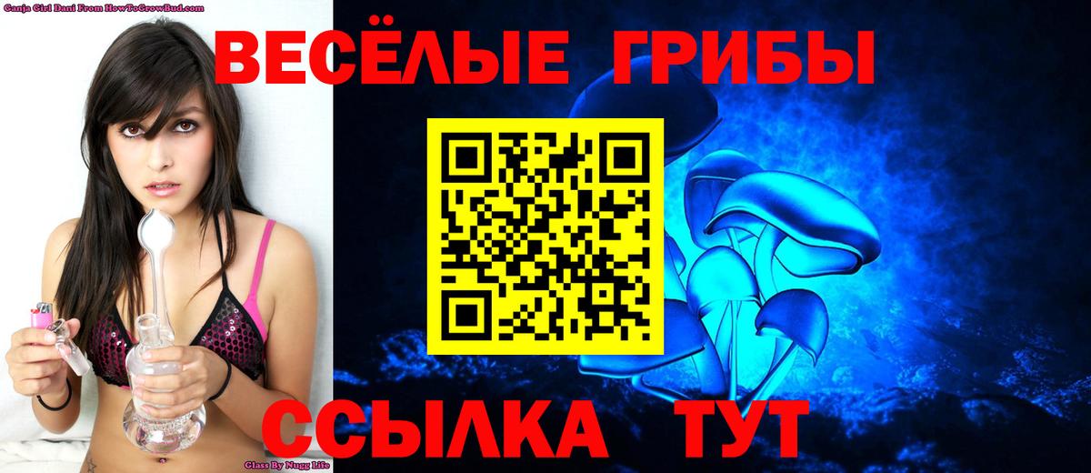 Ливны  цены наркотик  Вход с VPN  Галлюциногенные грибы Psilocybine cubensis 